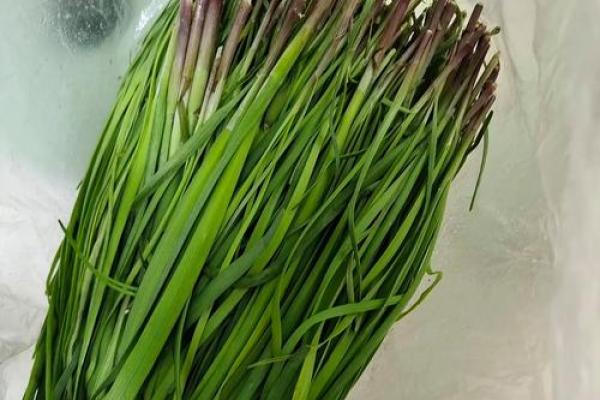 风水院子_韭菜种在院子有甚么寓意
