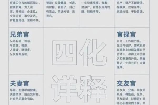 紫薇斗数原盘