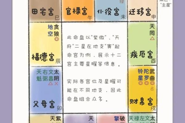 紫薇斗数原盘