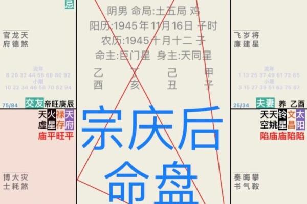 善良的紫薇斗数