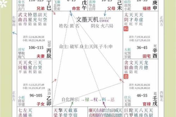 紫薇斗数看家境