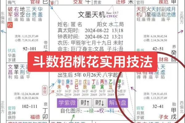 紫薇斗数看家境
