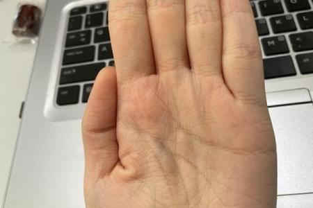 八字算命为何双胞胎的命运会出现不同的结局