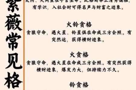 紫微斗数能量组合 紫薇斗数看你的潜能？