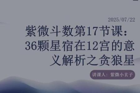 紫薇斗数贪狼在命宫