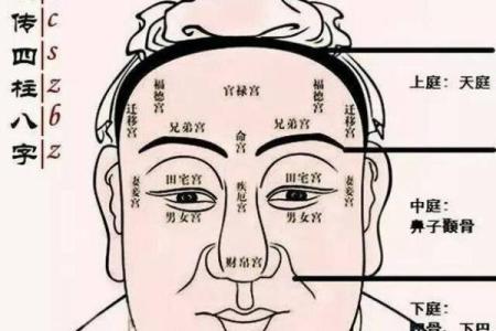 面相算命图解十二宫之：命宫