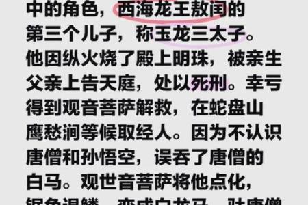 白龙八字