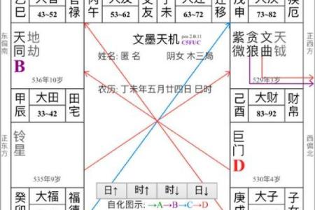 紫薇斗数的引导任务在哪