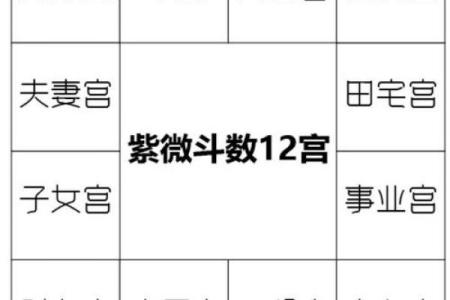 紫薇斗数子女宫性