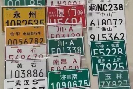 电动汽车牌照号吉凶测试