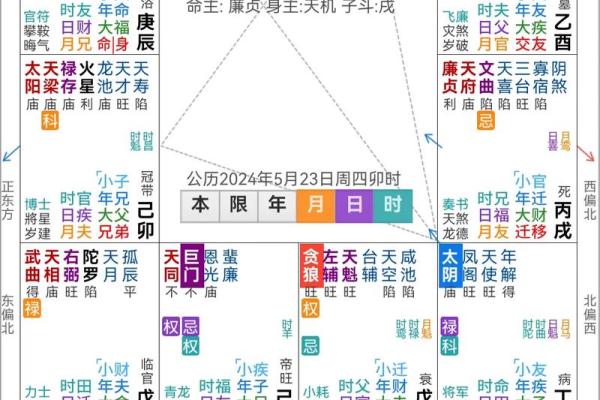 紫薇斗数高人解盘