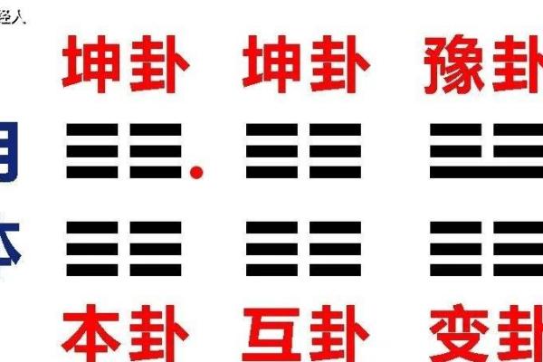 紫薇斗数和梅花易数哪个准