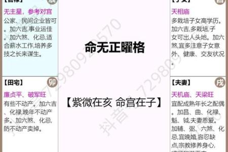 紫微斗数什么坐命 紫微斗数怎么看坐命？