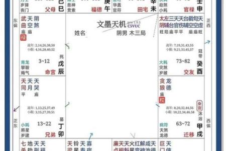 紫微斗数在线算命免费下载 紫微斗数在线排盘免费解析？