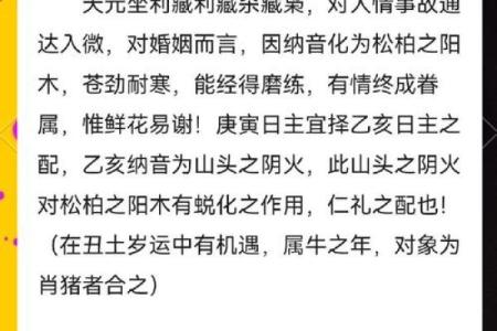 丁未日柱出生男女八字命运分析 丁未日柱如何看