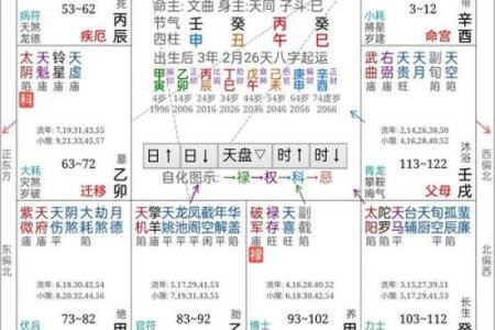 紫薇斗数右弼入命宫
