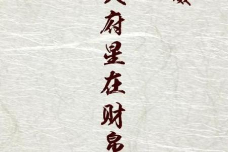 紫薇斗数大财星