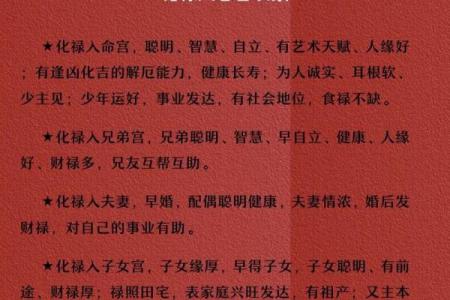 紫微斗数推广价值 紫微斗数专业术语？