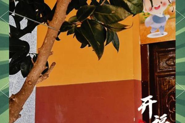 长沙求签很灵的地方  长沙开福寺500罗汉解签大全