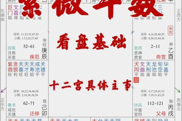 紫薇科技斗数