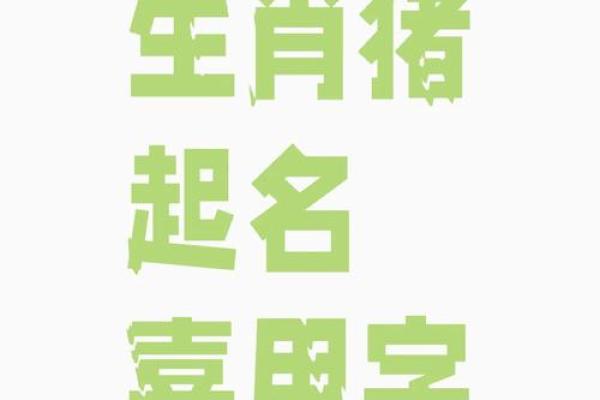 宝宝八字起名大全，猪宝宝最合适的名字推荐