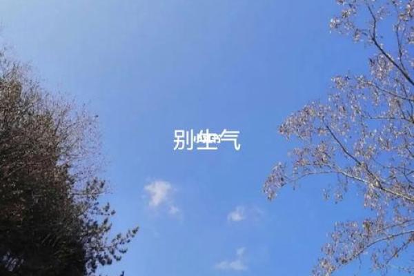 风水先生六不看 遇到这些就不要再问师傅了