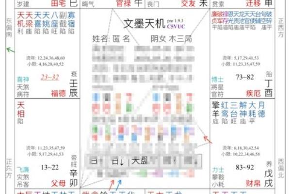 紫薇斗数里面流时