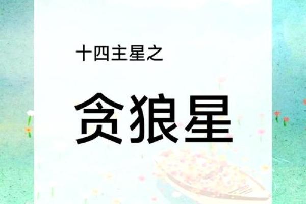 紫薇斗数贪狼星性