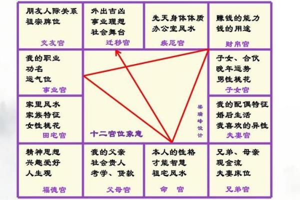 紫薇斗数有啥故事么
