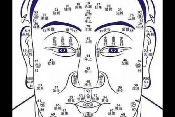 紫薇斗数怎么看流年盘