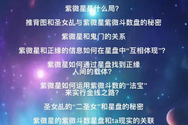 紫薇星盘斗数排盘