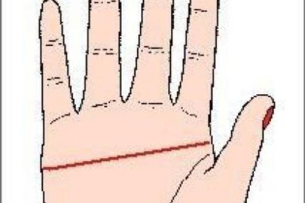 女人断掌手相算命图解