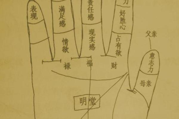 凯帝阿手相算命图解大全05