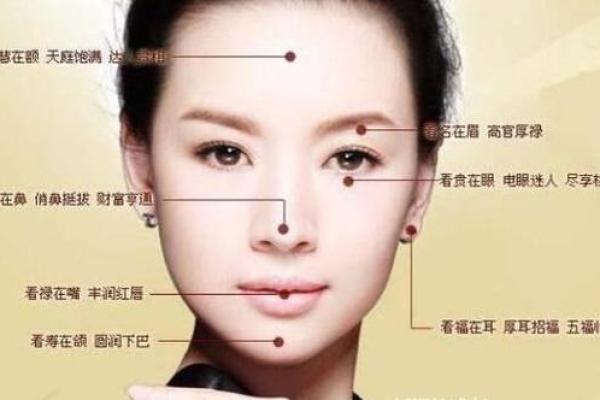 眼相算命图解大全
