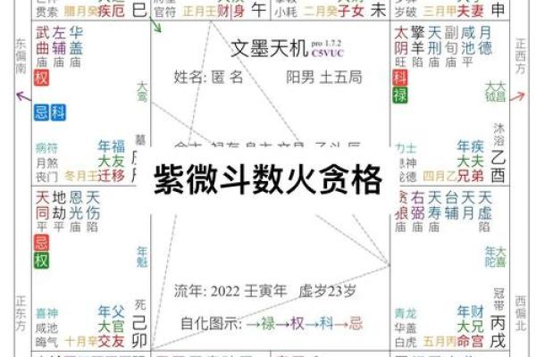 紫薇斗数流年怀孕