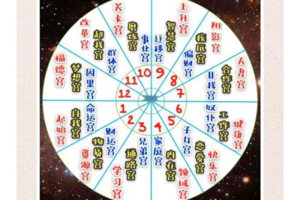 紫薇斗数子午宫