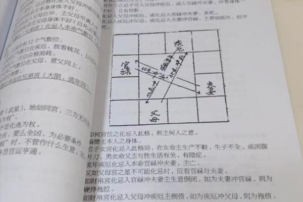 紫薇斗数书籍在线观看