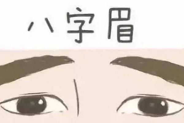 八字眉的男人面相图解 倒八字眉有何区别