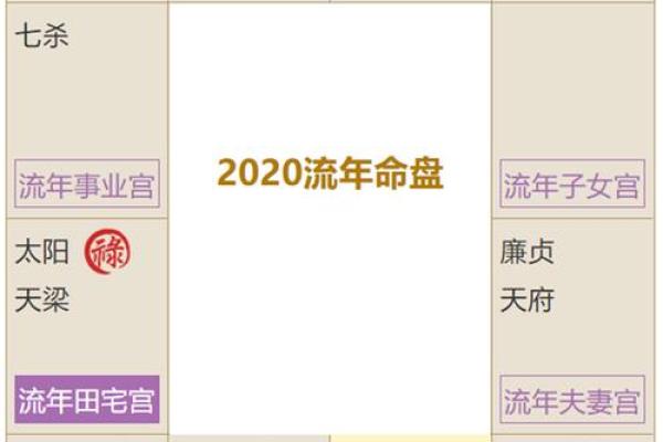 紫薇斗数如何看智力