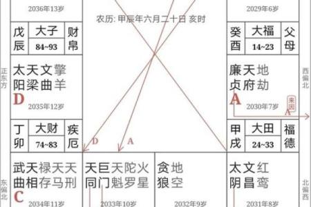 文墨天机紫薇斗数怎么看