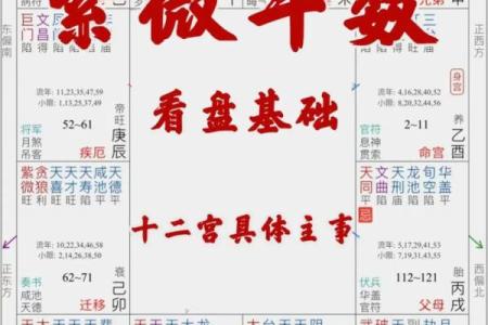 紫薇科技斗数