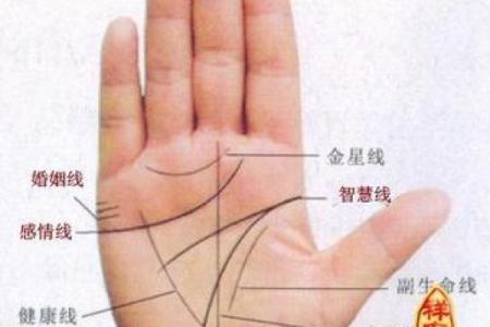 凯帝阿手相算命图解大全07