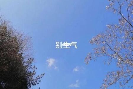 风水先生六不看 遇到这些就不要再问师傅了