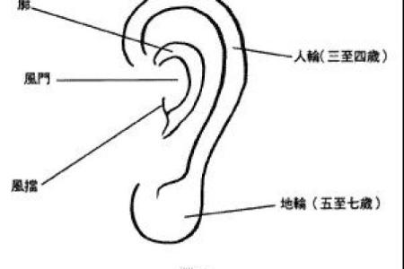 从面相看耳朵，耳朵面相算命图解