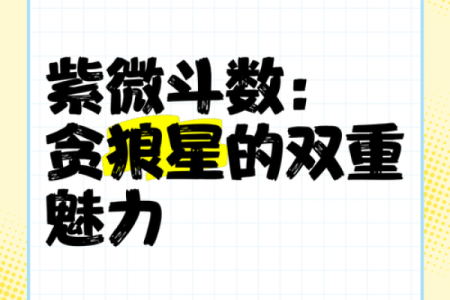紫薇斗数贪狼星性