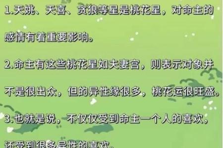 紫薇斗数有啥故事么