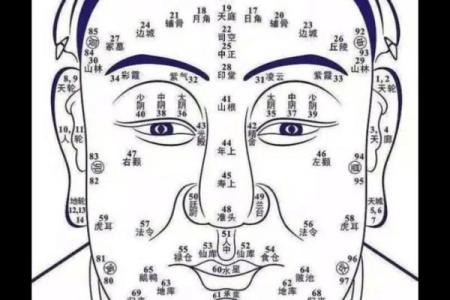 紫薇斗数怎么看流年盘