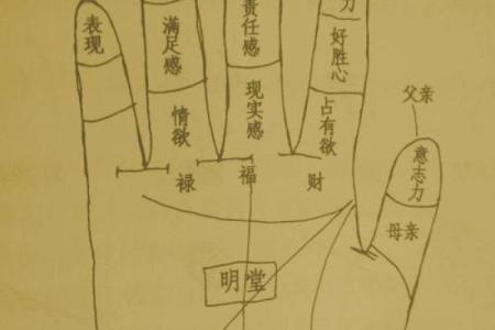 凯帝阿手相算命图解大全05
