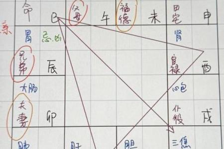 紫微斗数诸星落诸宫之，天同星：阳水疾厄宫详解