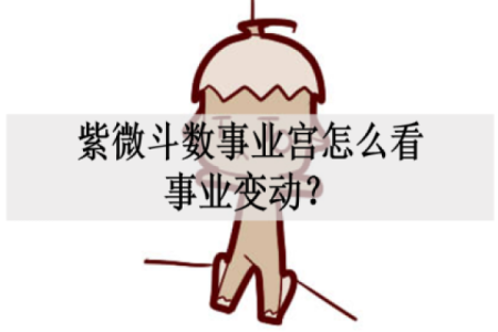babyvv紫薇斗数吧